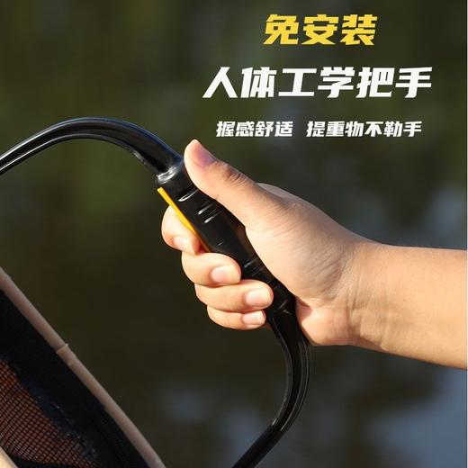 打水桶 钓鱼路亚野钓可折叠手提鱼护装鱼桶户外活鱼桶鱼箱 商品图5