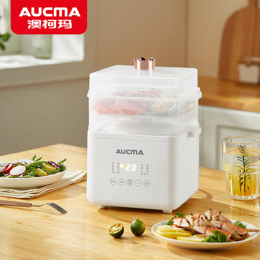 澳柯玛多功能电炖盅ADZ-25HY223F 商品图0