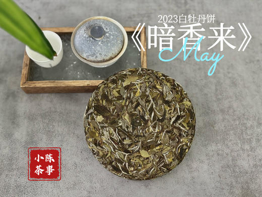 【好茶来了】冰肌玉骨，稠滑如丝，2023白牡丹饼《暗香来》汤水淳和，香气纷至沓来（8饼收藏装） 商品图2