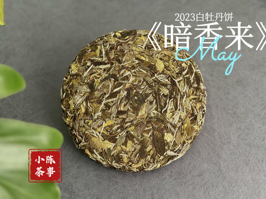 【好茶来了】冰肌玉骨，稠滑如丝，2023白牡丹饼《暗香来》汤水淳和，香气纷至沓来（8饼收藏装） 商品图5