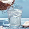 禅宝 椰子水350ml-1L 商品缩略图4