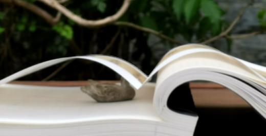 重磅推荐！！《明代名贤尺牍集》，线装一函全4册，787*1092mm,何国庆主编，雅昌彩色精印，江苏凤凰美术出版社2019年一版一印，定价5000，售价1500元。 商品图14