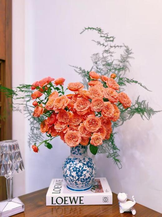 国产多头玫瑰花杏色果汁阳台10支 商品图4