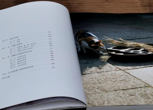 《中国篮子》，平装，16开，徐华铛、张建中等著，浙江人民美术出版社2020年版，290页，定价599，售价358元。 商品图5