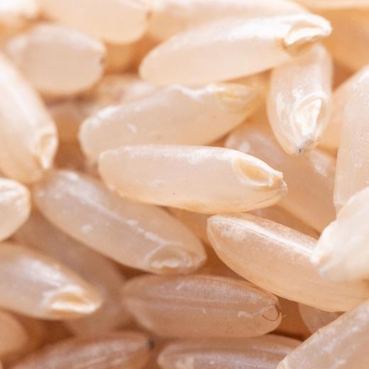 生态五常大米（稻花香二号-粳米） | 合作生产 *Wuchang rice | Coproduction 商品图3