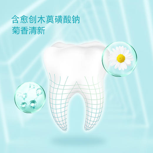 纳爱斯牙膏清凉冰菊香型120g*4支+亲齿家族按摩牙刷两支装(YS706) 商品图1