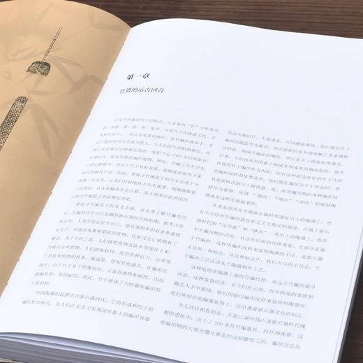 《中国篮子》，平装，16开，徐华铛、张建中等著，浙江人民美术出版社2020年版，290页，定价599，售价358元。 商品图6