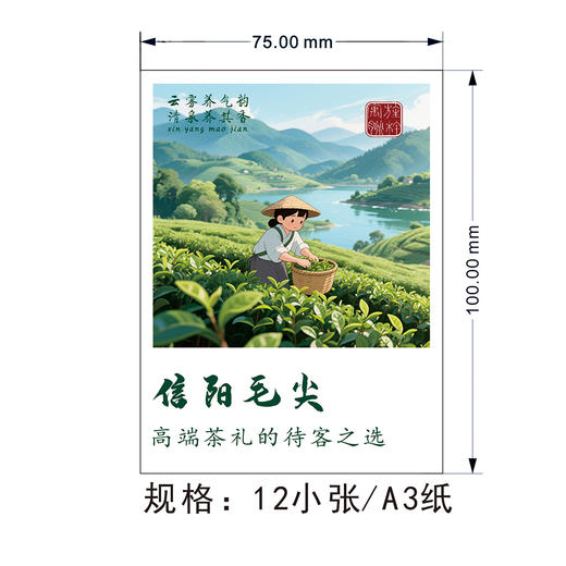 2025新款信阳毛尖茶标，6元一张，满300元河南省内包邮 商品图2