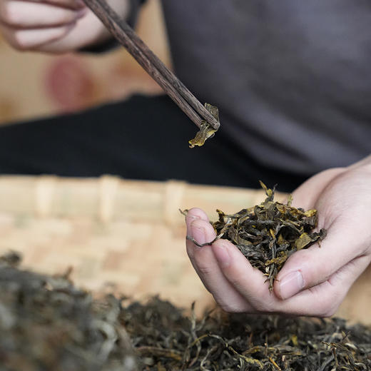 12月4日上午9点【拼团购】【古树金叶】2025年头春头采古树黄金叶“口粮的天花板”价格亲民老茶客手中的宝物200克/饼 5饼/提 商品图6