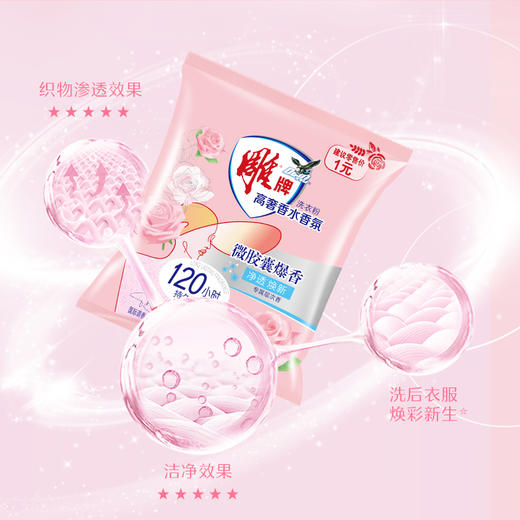 雕牌高奢香水香氛洗衣液1kg(五月玫瑰)+100g*2袋+35g*2袋 商品图8