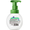 超能泡沫抑菌洗手液(滋润保湿)258ml 商品缩略图7