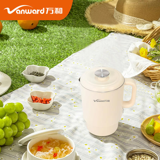 万和便携电热水壶DZG-ZL06A（304W） 商品图3