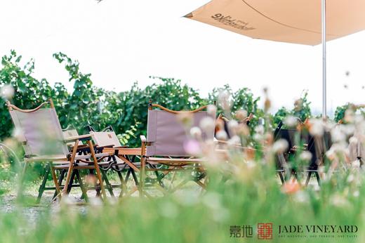 【旗舰票】嘉地酒园全顶级酒款品鉴，请务必先拨打400-998-5018预约时间再下单买票 商品图11