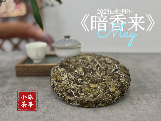 【好茶来了】冰肌玉骨，稠滑如丝，2023白牡丹饼《暗香来》汤水淳和，香气纷至沓来（8饼收藏装） 商品图1
