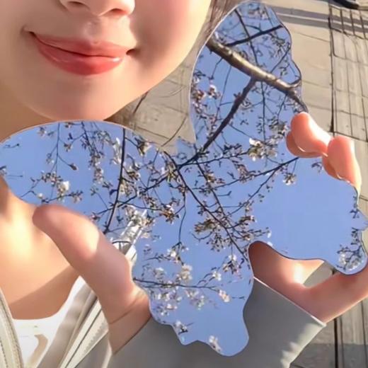 网红小红书蝴蝶同款化妆镜补妆便携春日拍照神器意境便宜加厚创意 商品图1