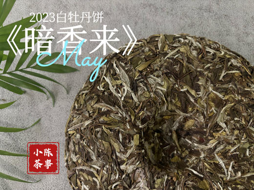 【好茶来了】冰肌玉骨，稠滑如丝，2023白牡丹饼《暗香来》汤水淳和，香气纷至沓来（8饼收藏装） 商品图6