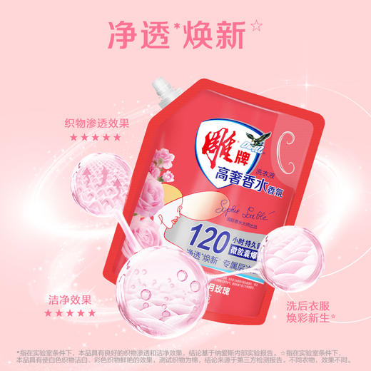 雕牌高奢香水香氛洗衣液1kg(五月玫瑰)+100g*2袋+35g*2袋 商品图10