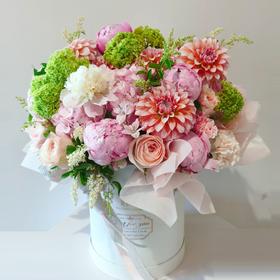 抱抱桶——芳华