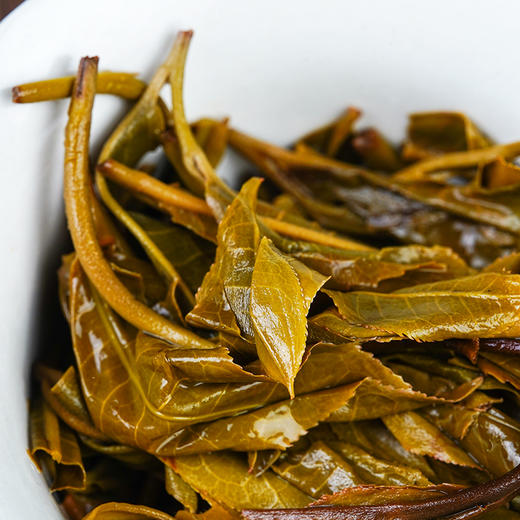 12月4日上午9点【拼团购】【古树金叶】2025年头春头采古树黄金叶“口粮的天花板”价格亲民老茶客手中的宝物200克/饼 5饼/提 商品图7
