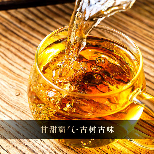 12月4日上午9点【拼团购】【古树金叶】2025年头春头采古树黄金叶“口粮的天花板”价格亲民老茶客手中的宝物200克/饼 5饼/提 商品图2