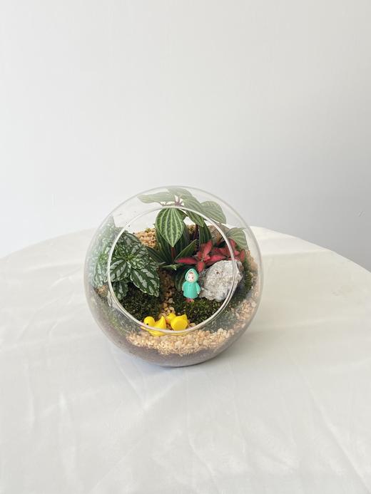 微景观/88 商品图0