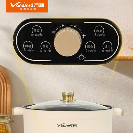 万和电火锅DZG-ZX15 商品图2