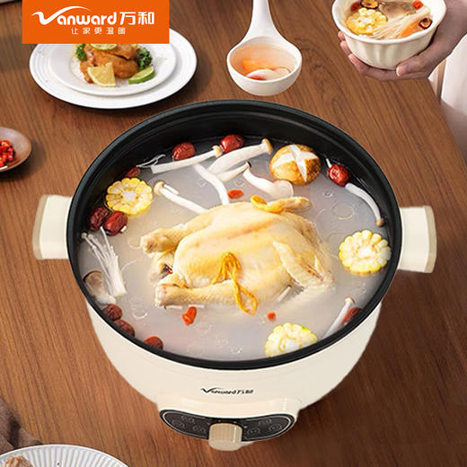 万和电火锅DZG-ZX15 商品图1