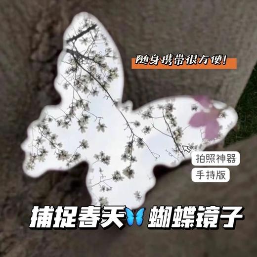 网红小红书蝴蝶同款化妆镜补妆便携春日拍照神器意境便宜加厚创意 商品图2