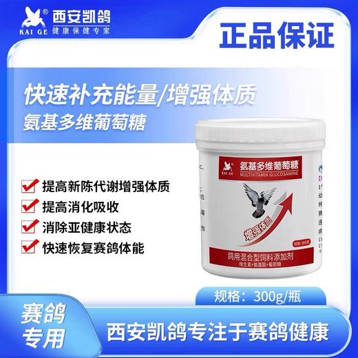 凯鸽【氨基酸多维葡萄糖】幼鸽种鸽比赛专用营养维生素鸽子药大全鸽药 商品图0