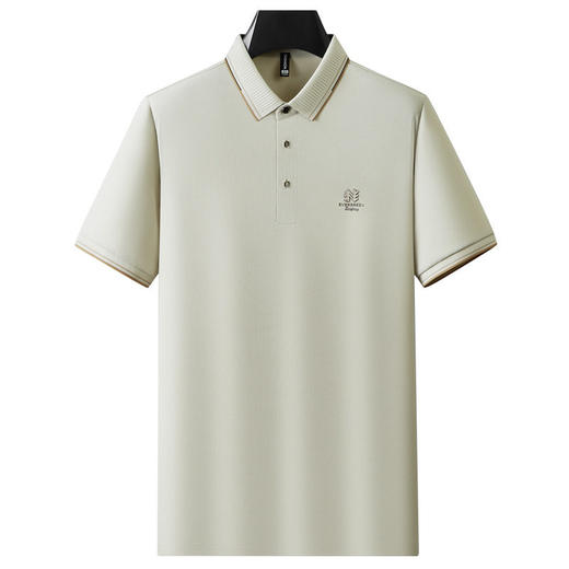 短袖polo衫男商务休闲高端男装夏季新款翻领t恤男士高级感上衣   YD-9267* 商品图4