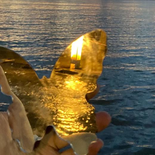 网红小红书蝴蝶同款化妆镜补妆便携春日拍照神器意境便宜加厚创意 商品图0