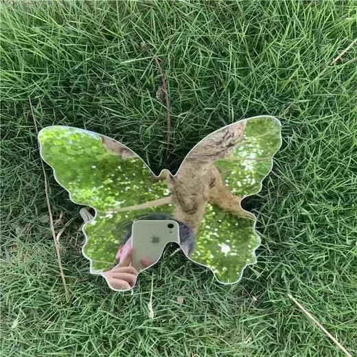 网红小红书蝴蝶同款化妆镜补妆便携春日拍照神器意境便宜加厚创意 商品图9