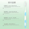 纳爱斯牙膏清凉冰菊香型120g*4支+亲齿家族按摩牙刷两支装(YS706) 商品缩略图7