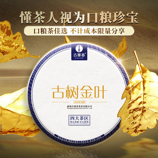 12月4日上午9点【拼团购】【古树金叶】2025年头春头采古树黄金叶“口粮的天花板”价格亲民老茶客手中的宝物200克/饼 5饼/提 商品图0