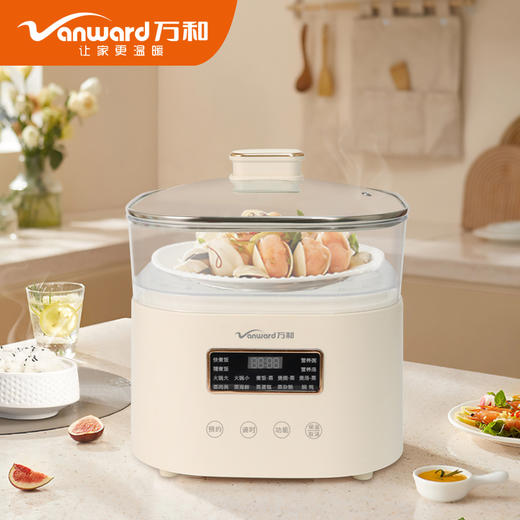 万和蒸煮饭煲WDZ-ZX301 商品图0