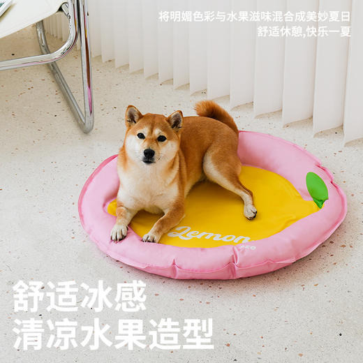 zeze 宠物冰垫合集 商品图5