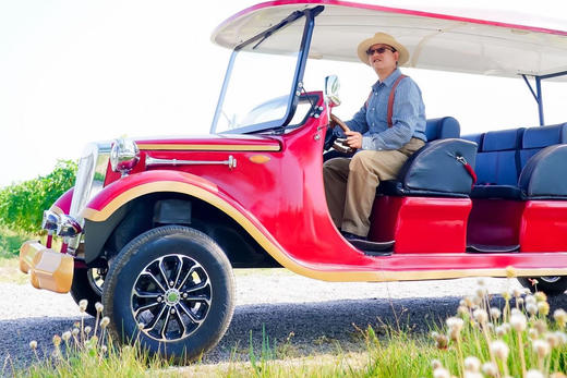 【旗舰票】嘉地酒园全顶级酒款品鉴，请务必先拨打400-998-5018预约时间再下单买票 商品图8