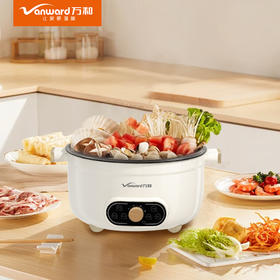 万和电火锅DZG-ZX15