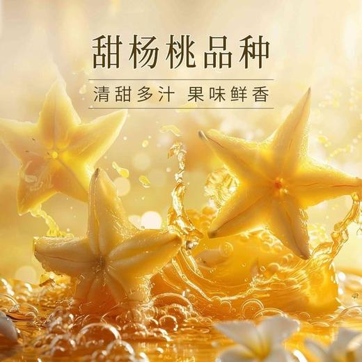 【悦惠精选】杨桃茉莉气泡果茶310ml*18 商品图2