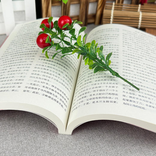 中国历史1000问 商品图1