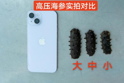 极客海参品鉴装（即食鲜参/干海参）丨鲜食高压海参，肉厚劲道自带鲜味丨独立包装，开袋即食，详情页里有我们对海参的认知，请一定阅读完。⭐️顺丰快递 商品图9