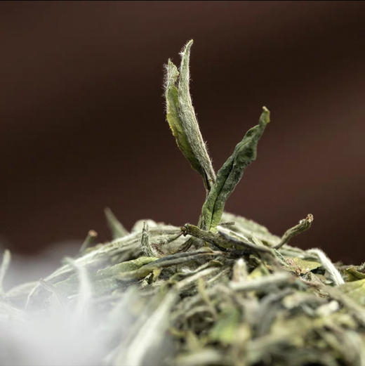 【白牡丹2023年】福鼎白茶/核心生态产区磻溪镇/大沁白茶品牌/500g大气礼盒装 商品图2