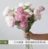 鲜花-三头陆莲 1*1扎（12枝） 商品缩略图0