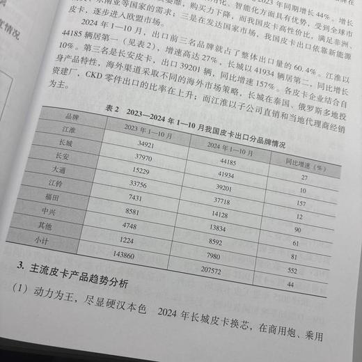 2025  中国汽车市场展望 商品图4