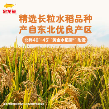 金龙鱼东北大米 长粒香大米 臻选长粒香大米5斤 /粮油调味 /米 /长粒香米 商品图3