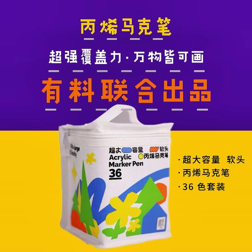 鹤见36色丙烯马克笔（包邮） 商品图0