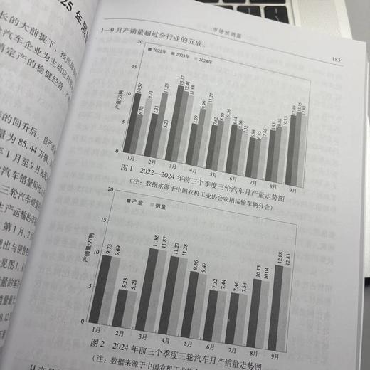 2025  中国汽车市场展望 商品图3