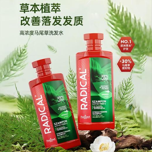 【超模君严选 保税直发】波兰Radical/缕植马尾草防脱/去屑/丰盈/男士去屑/男士防脱洗发水 包邮包税 商品图2