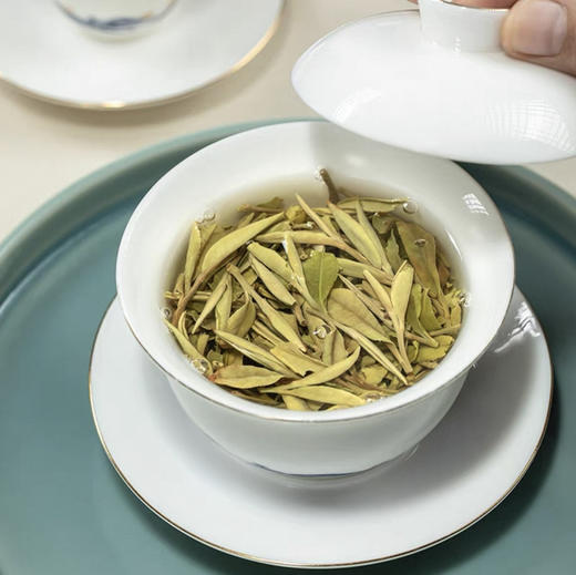 【白牡丹2023年】福鼎白茶/核心生态产区磻溪镇/大沁白茶品牌/500g大气礼盒装 商品图4