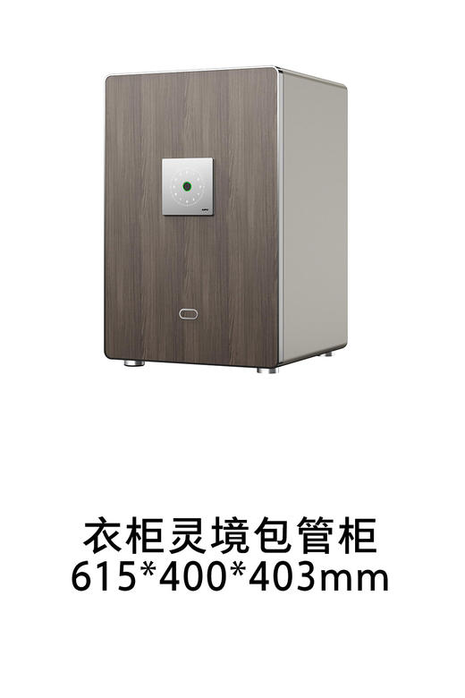 1-衣柜安防系统-6-灵境包管柜615-400-403mm 商品图0